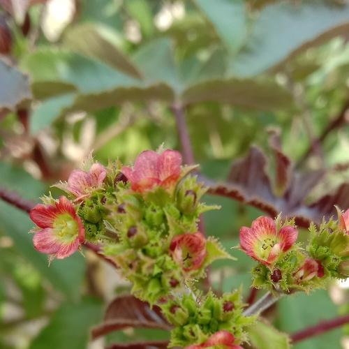Photo #4195287