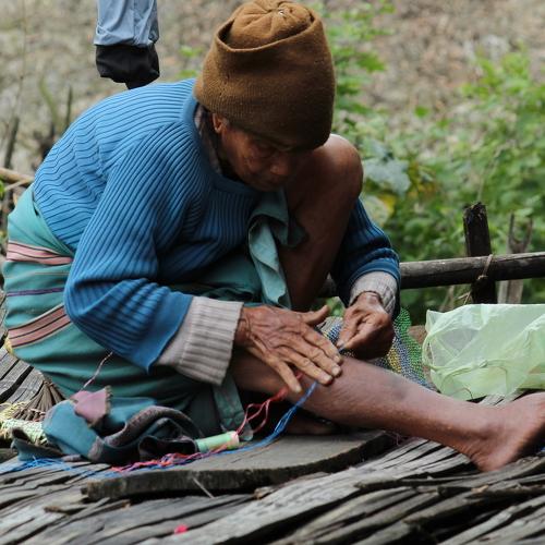 Photo #4195570