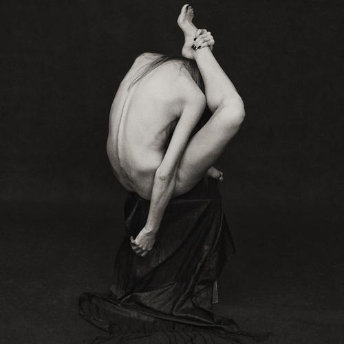 Photo #4195571