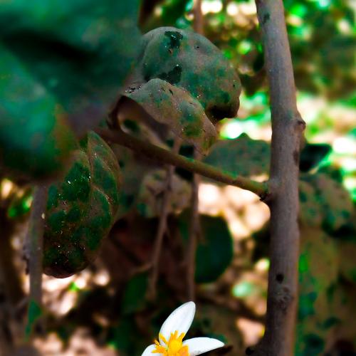 Photo #4195580