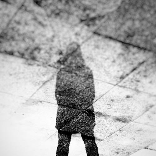 Photo #4195593