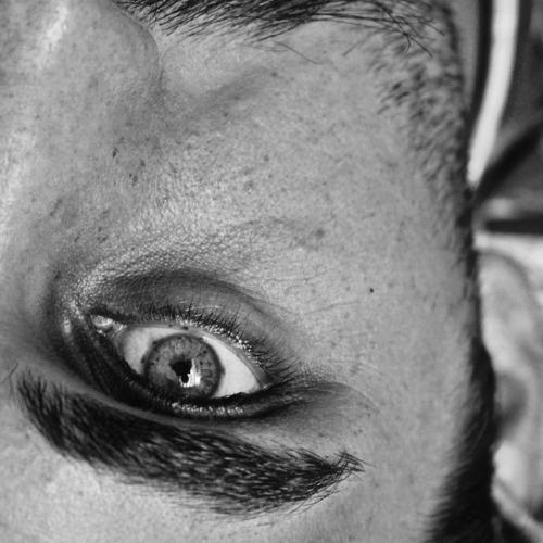 Photo #4195685