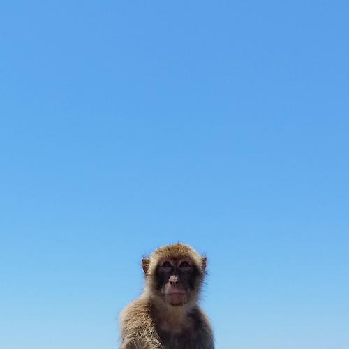 Photo #4196102