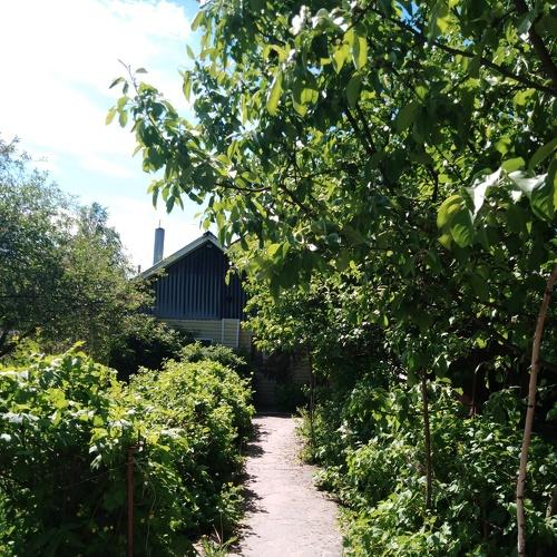 Photo #4196253