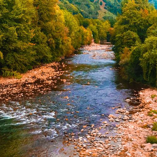 Photo #4196606