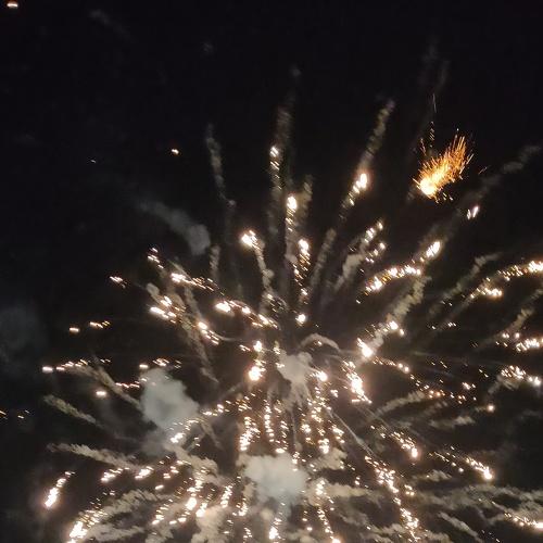 Photo #4196627
