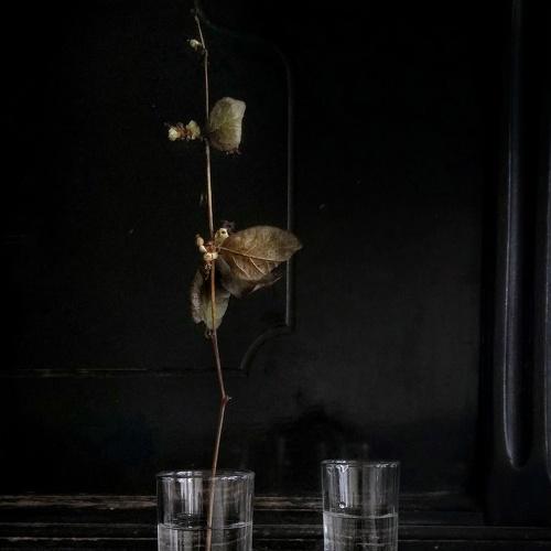 Photo #4196726