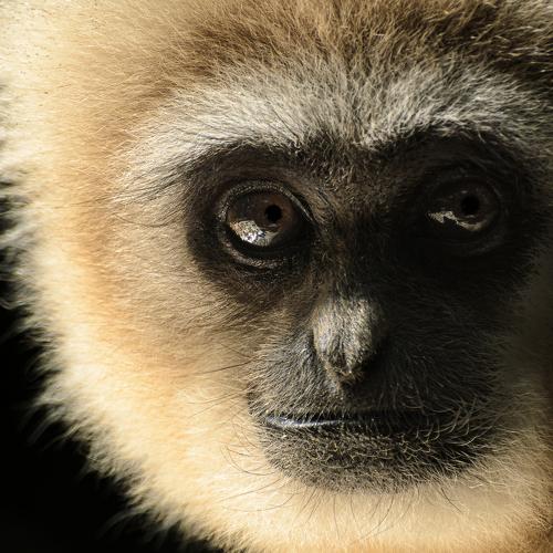 Photo #4196902