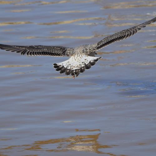 Photo #4196908