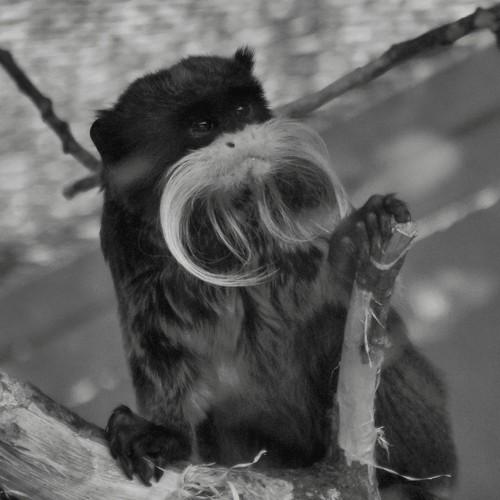 Photo #4196933
