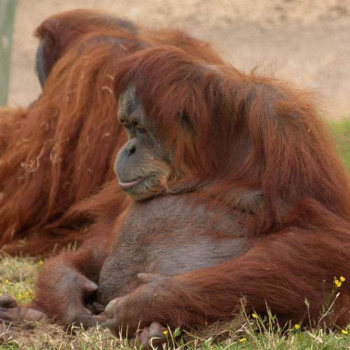 Photo #4196945