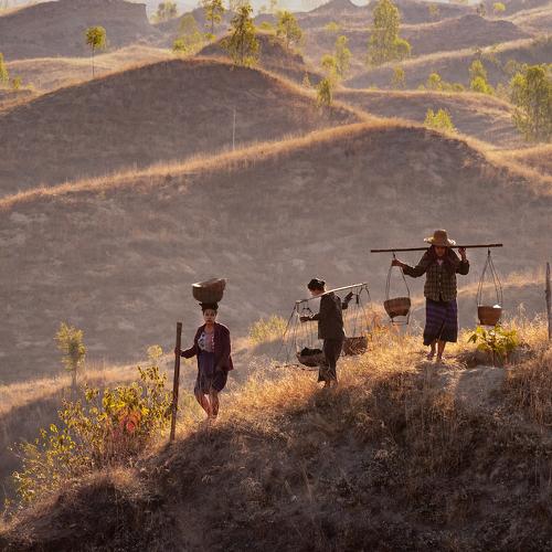 Photo #4196958