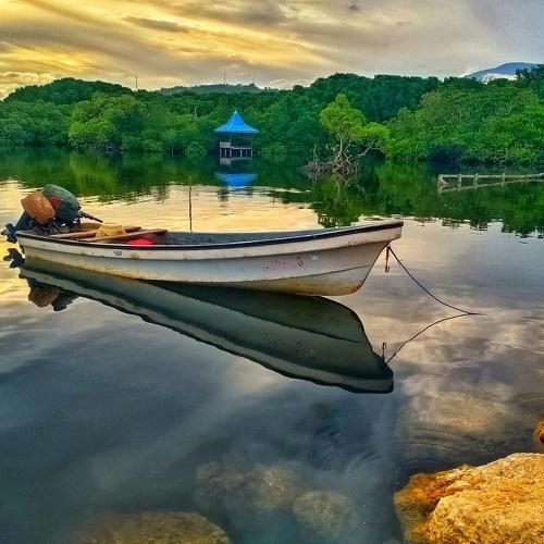 Lanscape