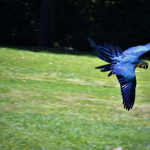 Photo #4197268