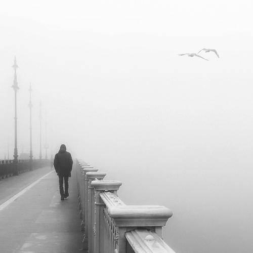 Photo #4197625