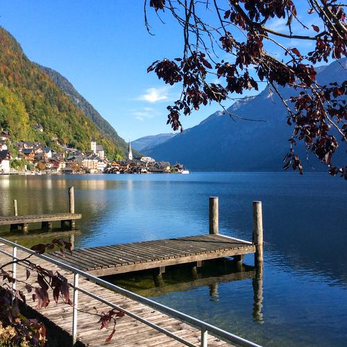 Photo #4197653