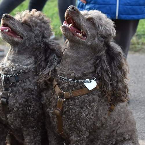 Photo #4197732
