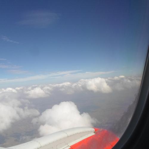 Photo #4197989
