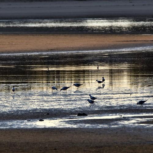 Photo #4198331