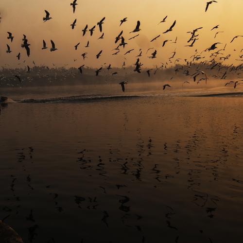 Photo #4198424