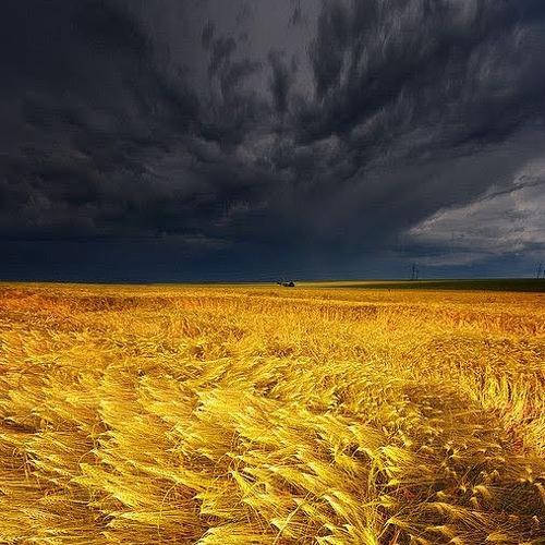 Cloudy sky