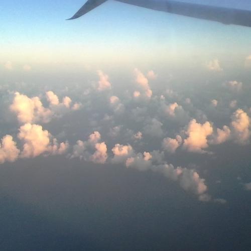 Photo #4198887