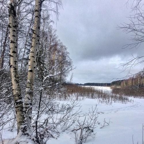 Photo #4199923