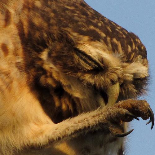 Photo #4199941