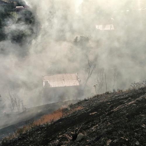 Photo #4199995