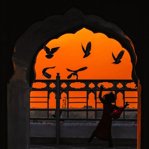 I want to fly