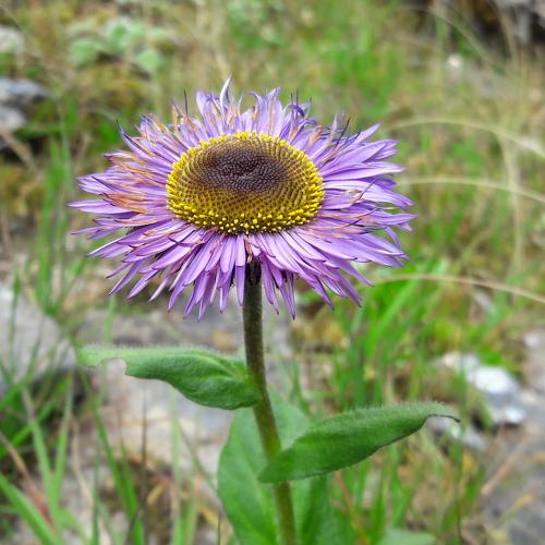 Photo #4200592