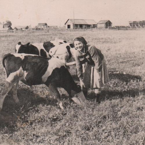 Photo #4200772