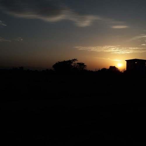 Photo #4200791