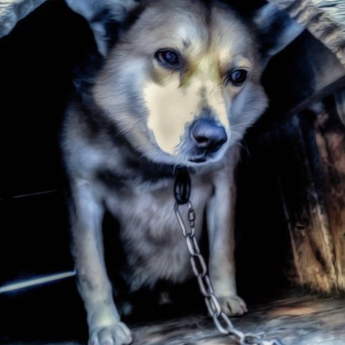 Photo #4201271