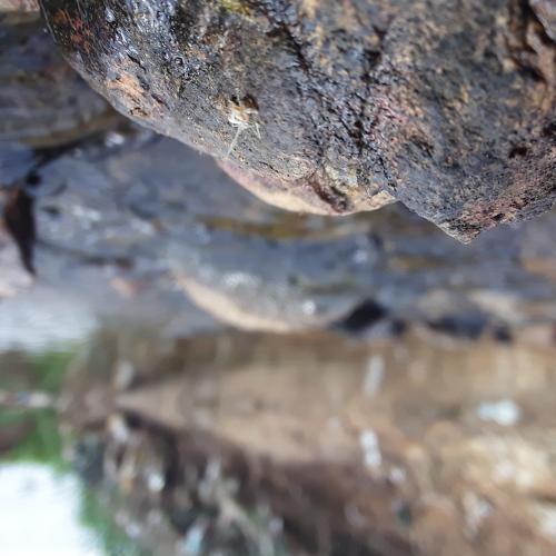 Photo #4201853
