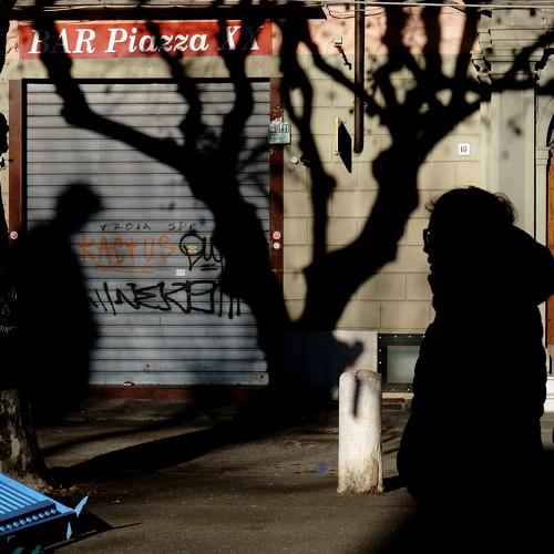 Photo #4202061