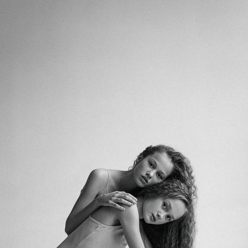 Photo #4202066