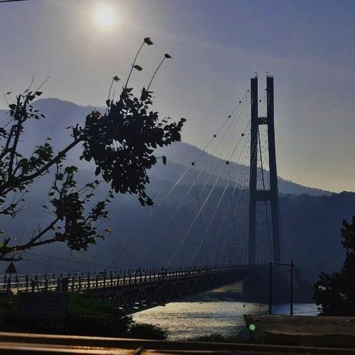 Photo #4202185