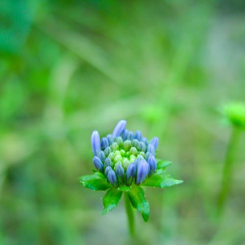 Photo #4202356