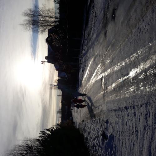 Photo #4202588