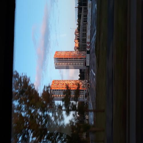 Photo #4202653