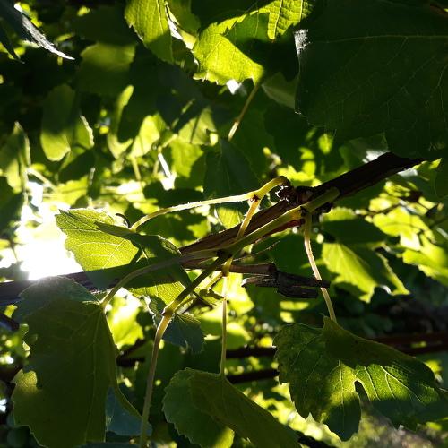 Photo #4202676