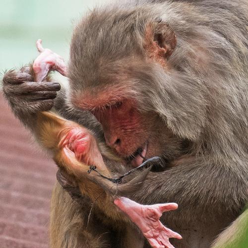 Neonatal care