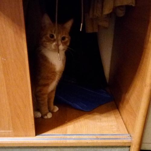 Photo #4203853