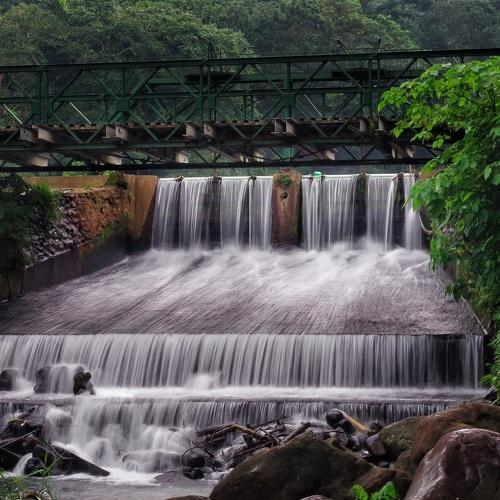 Photo #4204202