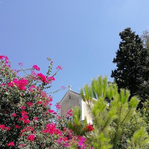 Photo #4204362