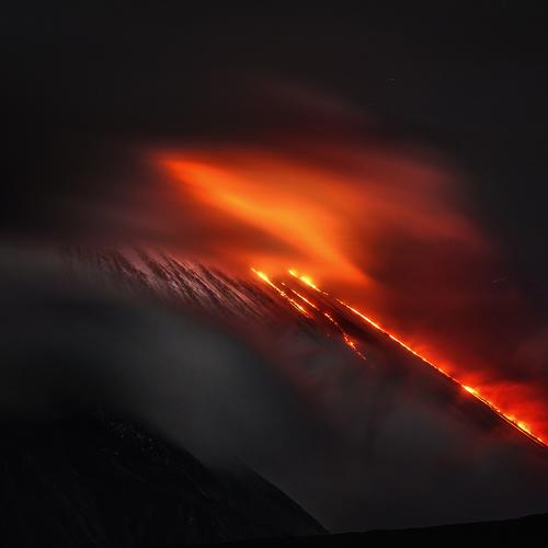 Photo #4204384