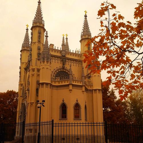 Photo #4204432