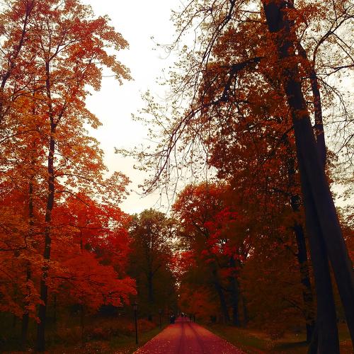 Photo #4204436
