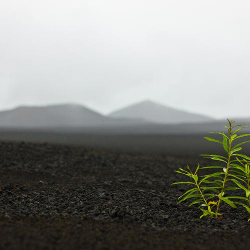 Photo #4204438